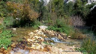 stello marchesa di Cassibile-10-02-2015 19-57-20